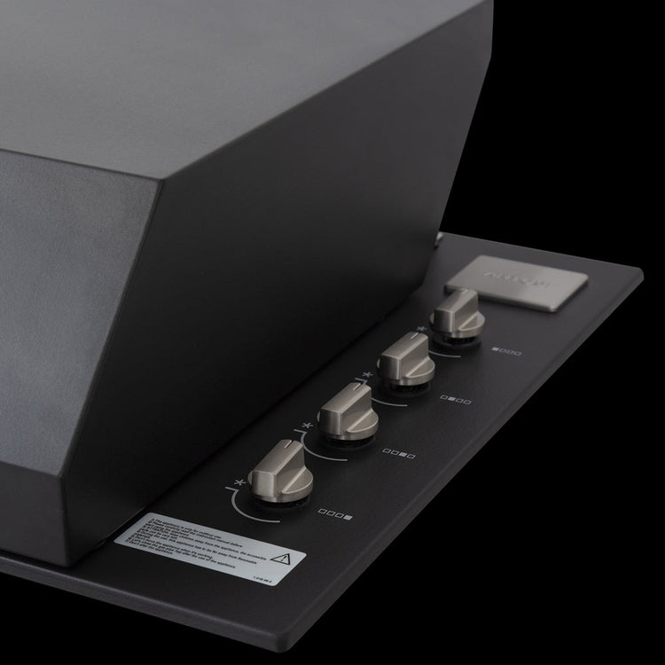 Artusi Matte Black 4 Burner Built-In BBQ with Roasting Hood