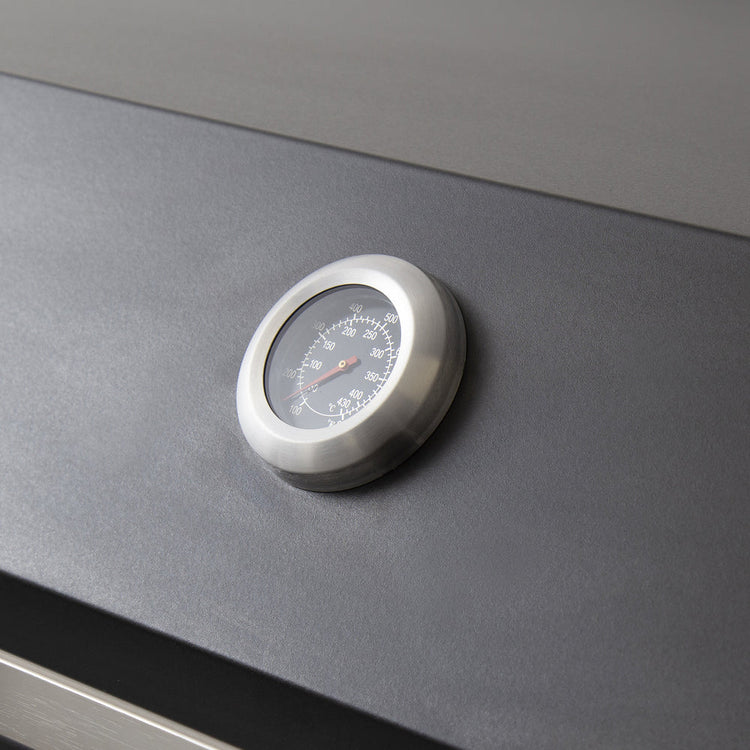 Artusi Matte Black 4 Burner Built-In BBQ with Roasting Hood